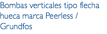 Bombas verticales tipo flecha hueca marca Peerless / Grundfos
